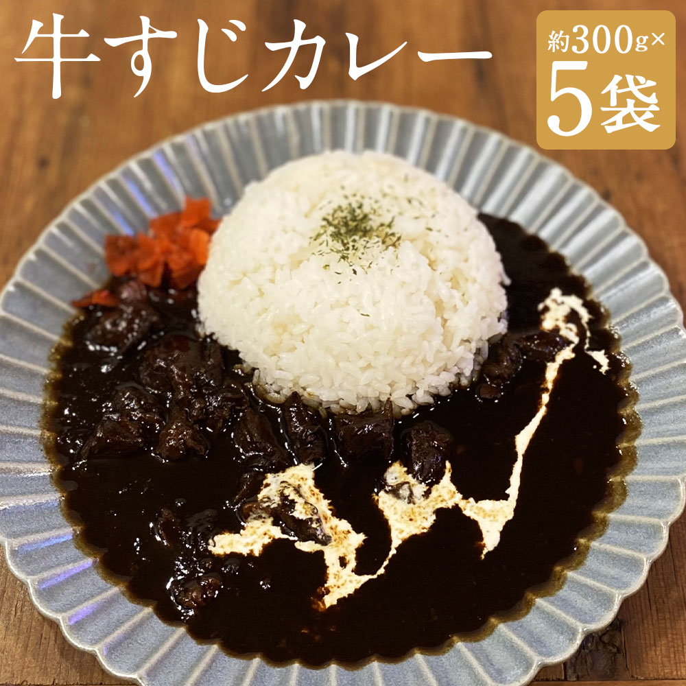 【ふるさと納税】牛すじカレー 約300g×5袋 合計約1.5kg 5人前 冷凍 パック カレー ピリ辛 牛筋 カレー レトルト 冷凍カレー 冷凍 長崎市 送料無料|長崎県長崎市