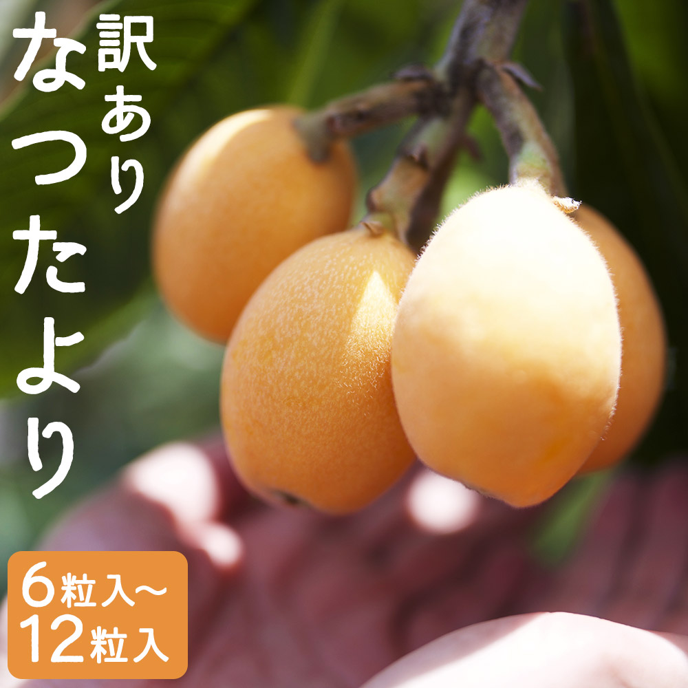 【ふるさと納税】【訳あり】長崎産 茂木びわ なつたより 2L(12粒)/3L(8粒)/4L(6粒) 選べる内容量 ご家庭用 びわ 果物 フルーツ 枇杷 長崎市産 長崎県産 九州産 送料無料