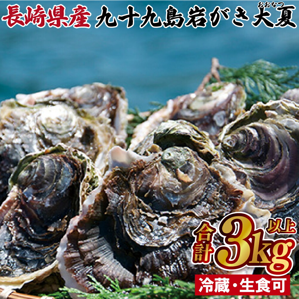 【ふるさと納税】九十九島岩がき大夏(おおなつ)
