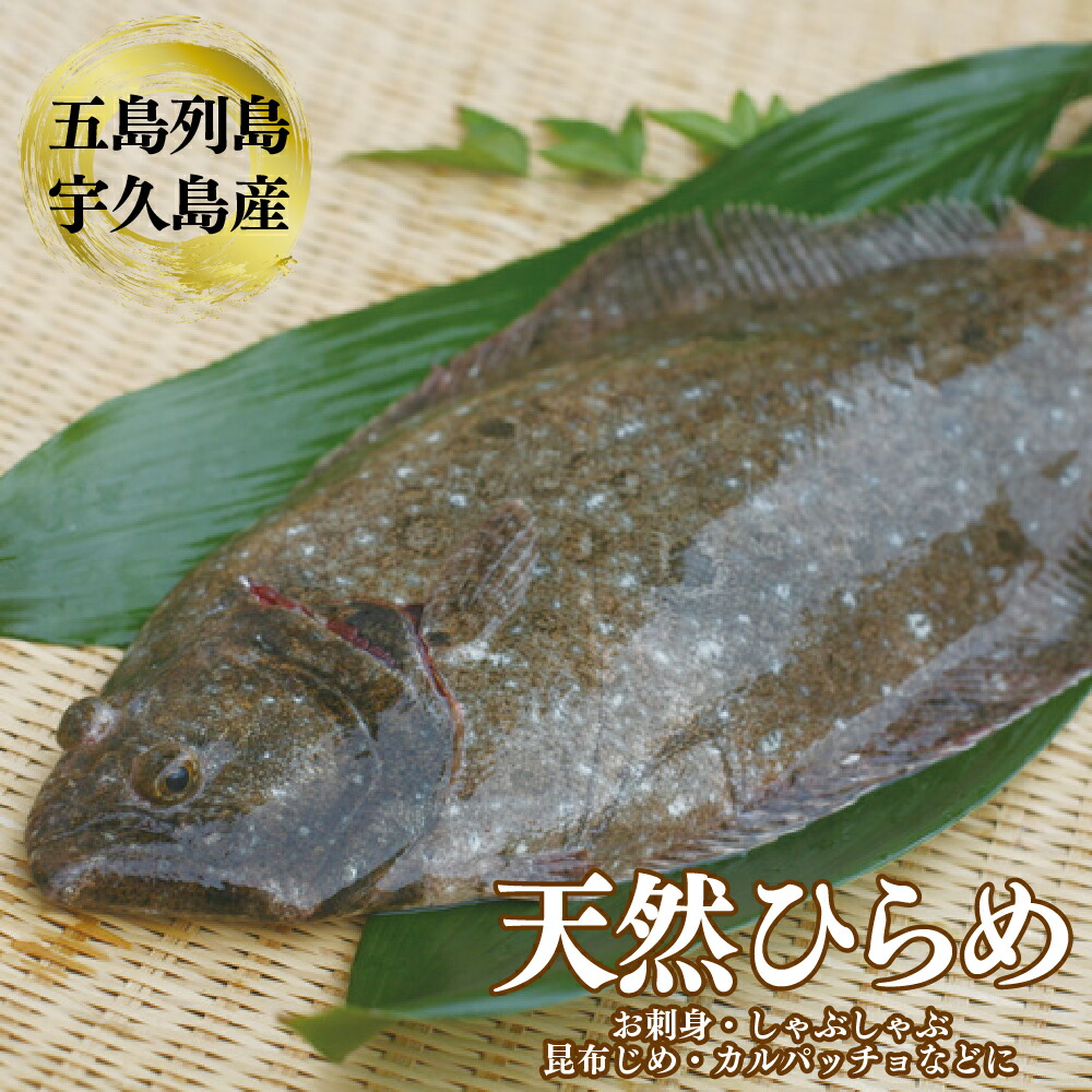 楽天市場】【送料無料】天然ヒラメ 平目 日本海産 3.0〜3.4キロ物