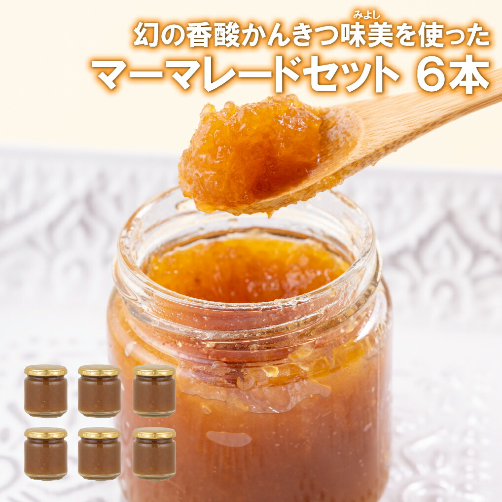 【ふるさと納税】幻の香酸かんきつ味美(新種和レモン)を使ったマーマレードセット