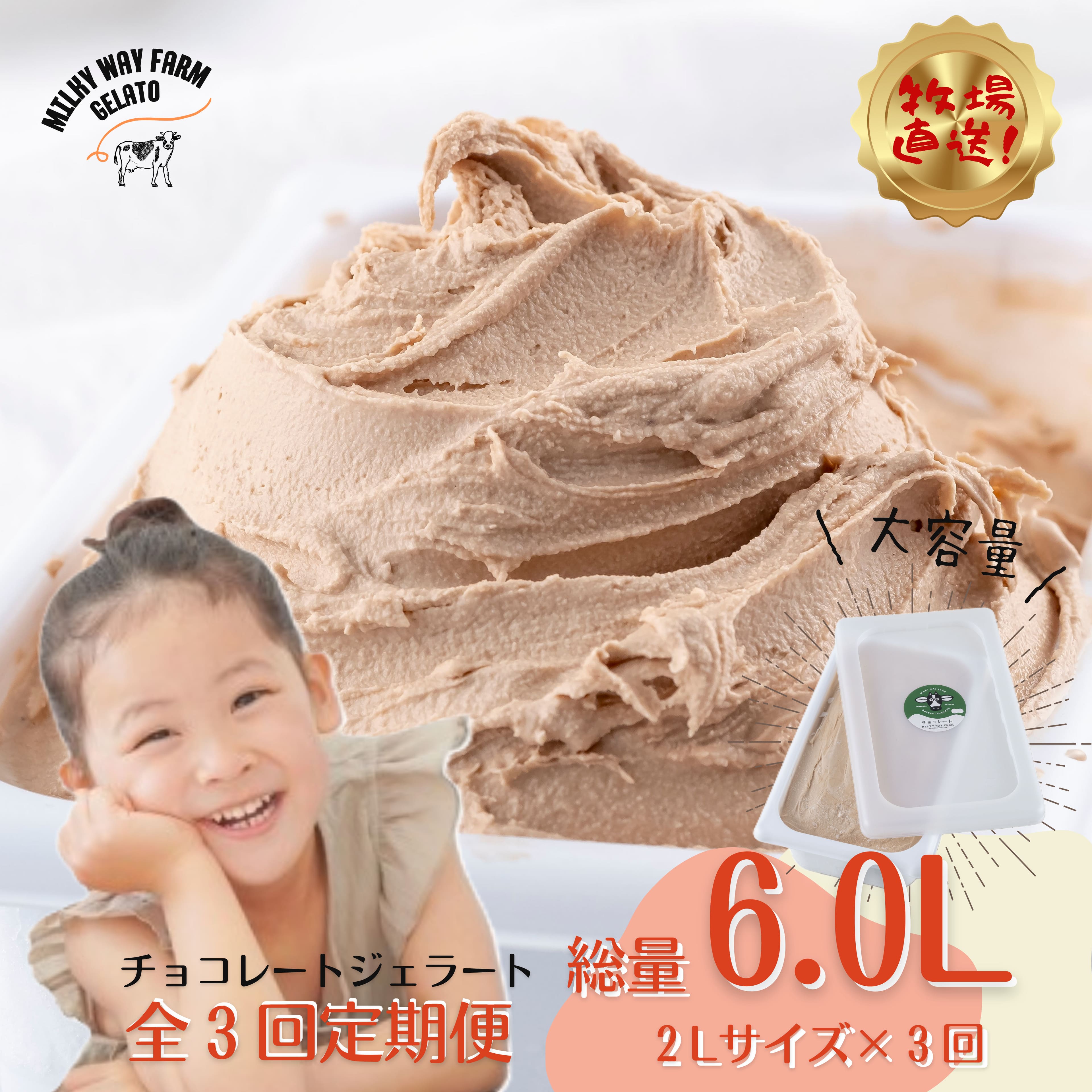 【ふるさと納税】【生乳１００％】《定期便》山中牧場「MILKY WAY FARM」ジェラート 業務用(２L)サイズ〈チョコレート〉【３回お届け】｜チョコレート 牛乳 ミルク アイスクリーム 牧場直送 スイーツ デザート 人気 おいしい 美味しい ギフト 贈答 母の日 バレンタイン 29,250円