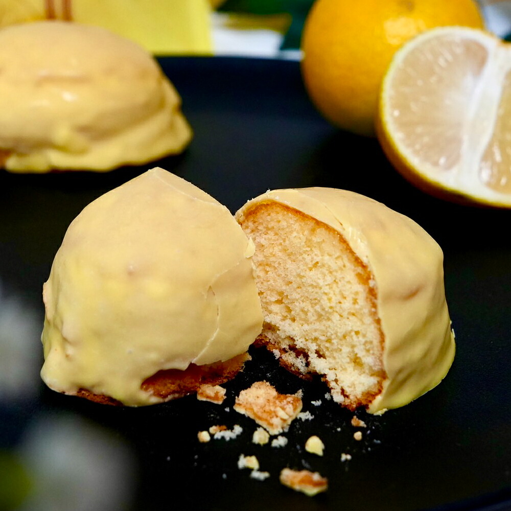【ふるさと納税】佐世保レモンケーキ 11,100円