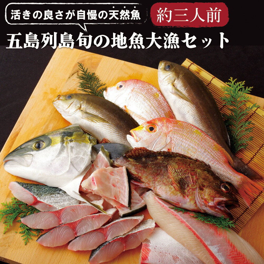 【ふるさと納税】五島列島 旬の 地魚 大漁 セット(約3人前)  刺身 焼魚 アラ ひらまさ れんこだい 宇久島