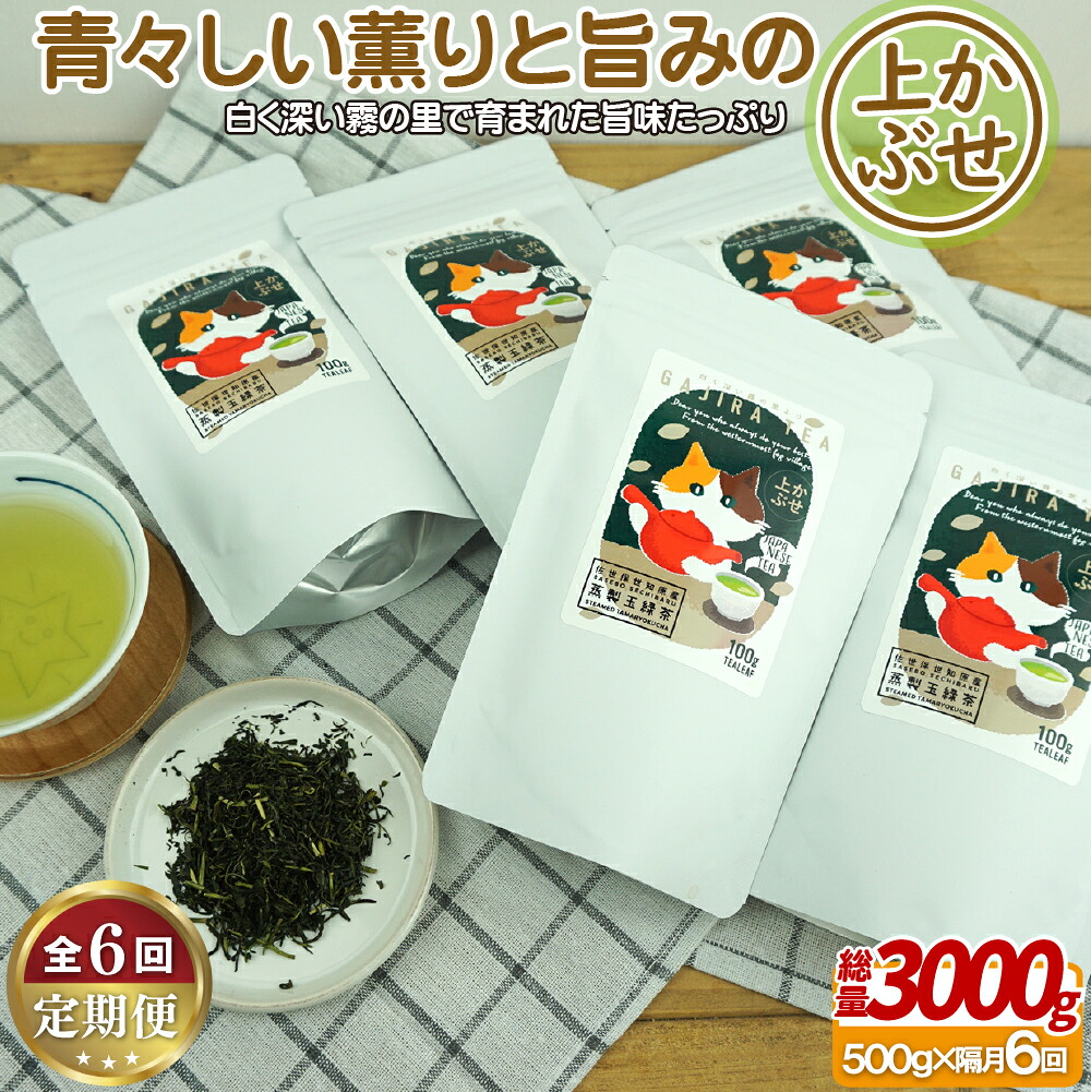 【ふるさと納税】世知原茶 青々しい薫りと旨みの上かぶせ 【6回定期便】 88000円｜長崎県佐世保市