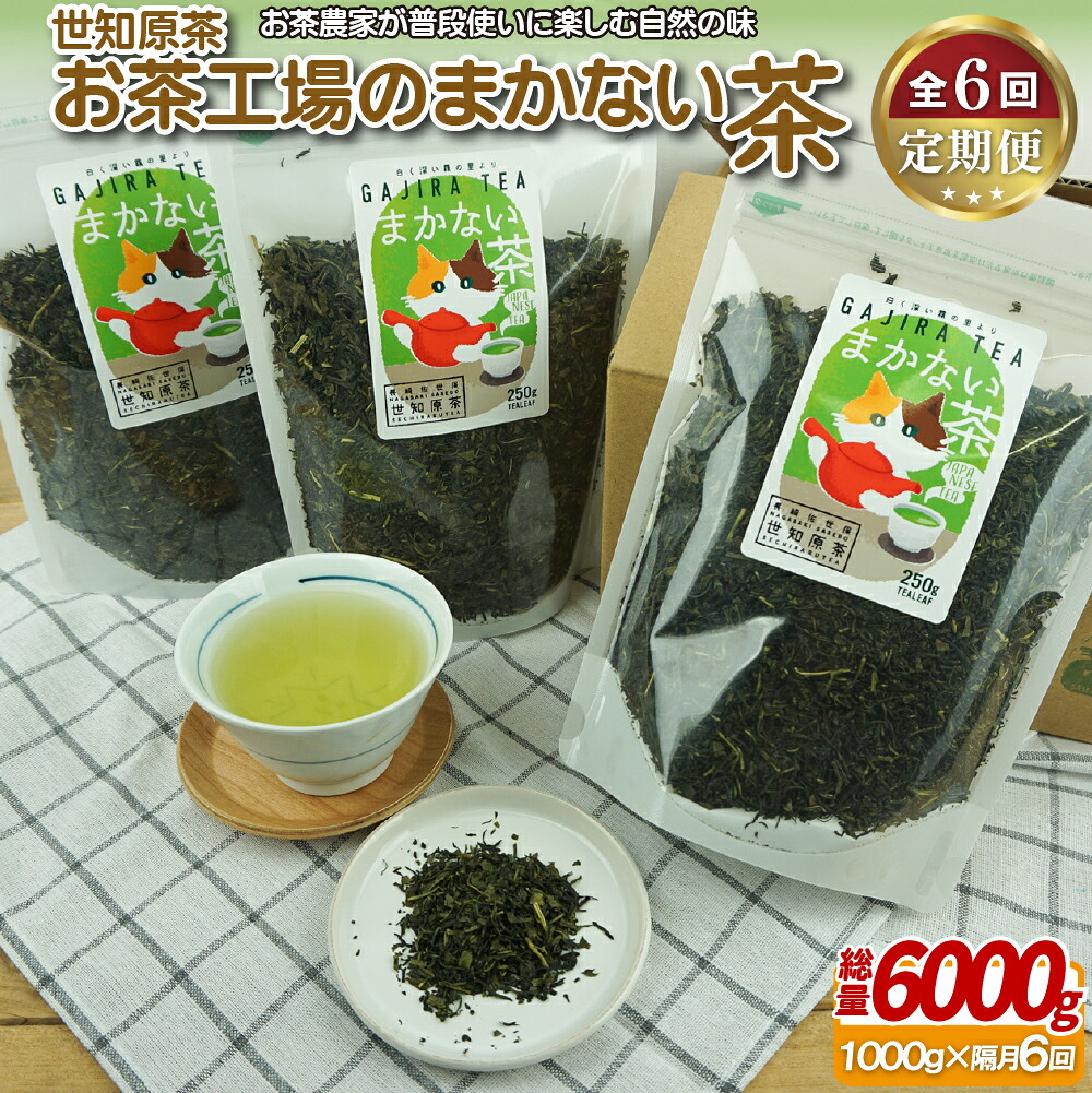 【ふるさと納税】世知原茶お茶工場のまかない茶【6回定期便】 70500円｜長崎県佐世保市