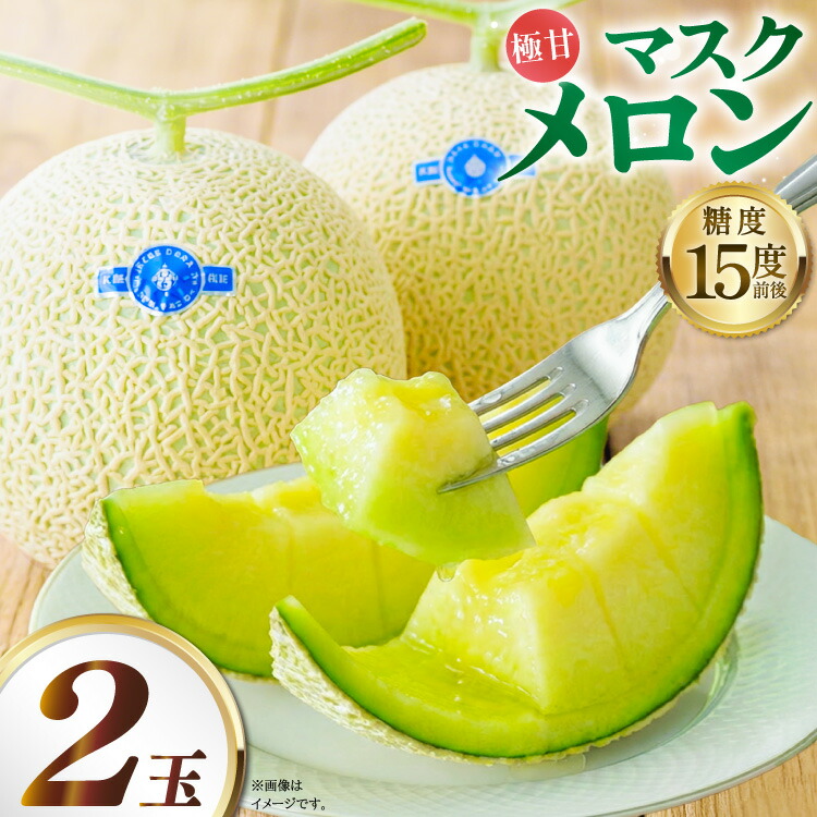 【ふるさと納税】 【先行予約】AA048 メロン マスクメロン 2玉入 [ メロン めろん 西瓜 フルーツ 果物 くだもの 青肉 甘い 芳香 高糖度 糖度 長崎県 島原市 ]｜長崎県島原市