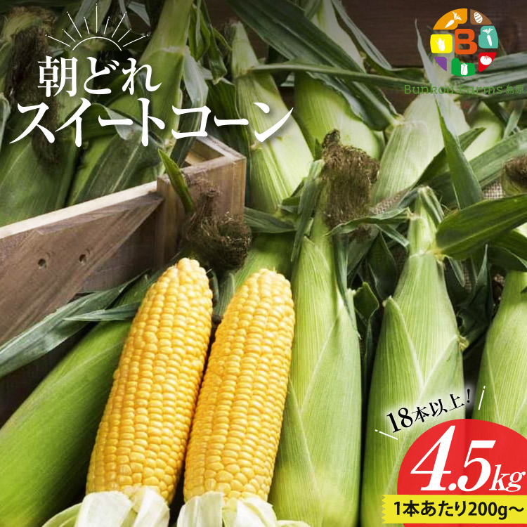 【ふるさと納税】 BG035　【令和8年度出荷分】5月下旬から出荷！ 朝どれ スイートコーン 200g以上×18本以上 4.5kg ～名水百選の里 島原産～