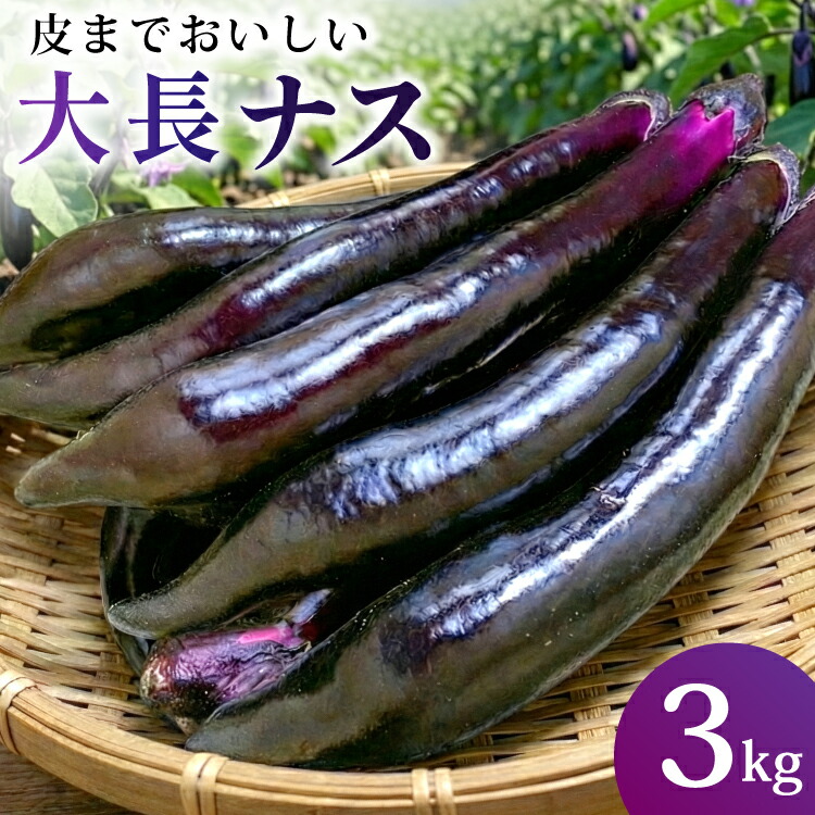 【ふるさと納税】 BF003【令和8年度出荷分】皮までおいしい！島原 大長ナス 3kg [ なす ナス 茄子 なすび 野菜 長ナス 天ぷら 焼き茄子 味噌汁 産地直送 長崎県 島原市 ]