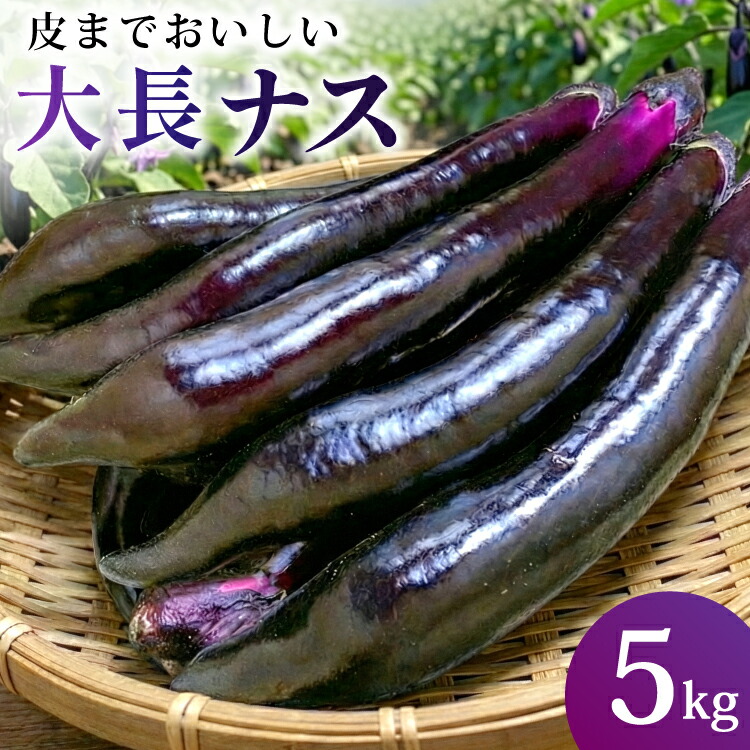 楽天市場】【ふるさと納税】幸田町産「とげなし美茄子」 5kg ｜ なす
