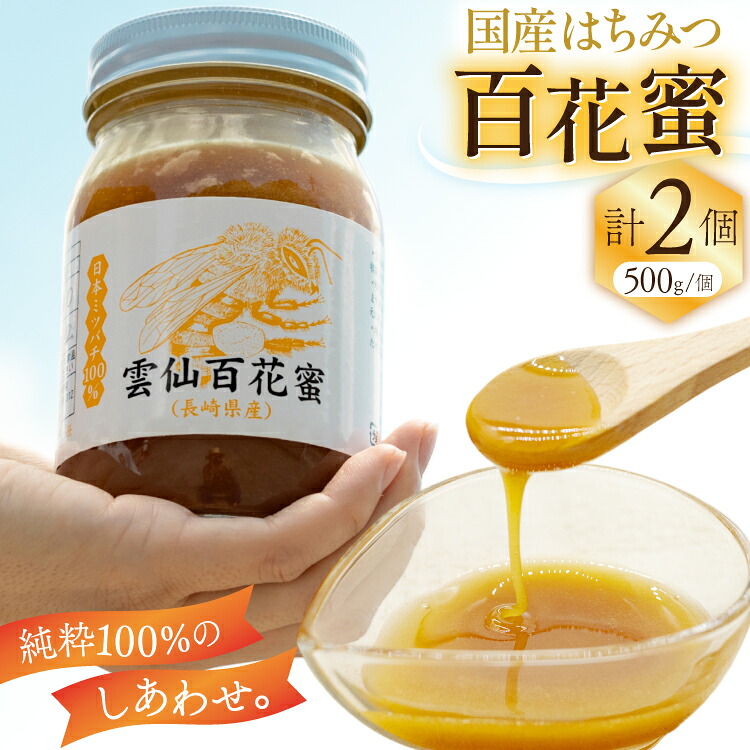 【ふるさと納税】 AJ446 はちみつ 国産 百花蜜 500g 2個 日本ミツバチ 純粋 100% [ 安中梅林を育てる会 蜂蜜 ハチミツ 非加熱 無添加 長崎県 島原市 ]｜長崎県島原市