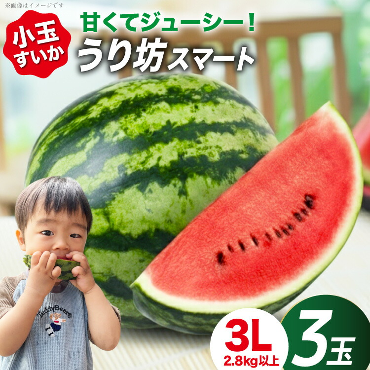 【ふるさと納税】 AJ637 【令和8年度出荷分】 まるき農園 うり坊スマート 3Lサイズ(2.8kg以上) 3玉 [ スイカ すいか 西瓜 小玉 小玉スイカ うり坊 ウリ坊 うりぼう ウリボー まるき農園 長崎県 島原市]