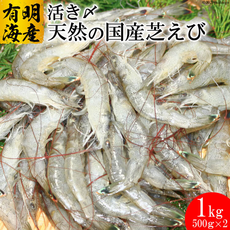 【ふるさと納税】BD190 有明海産 活き〆 天然小エビ 1kg（500ｇ×2パック）【芝海老 シバエビ しばえび アカヒゲ 九州 長崎県 島原市 有明海産 生冷凍 刺身 くるまえび科 クルマエビ科 車エビ科 車海老科 送料無料 お取り寄せ おとりよせ】