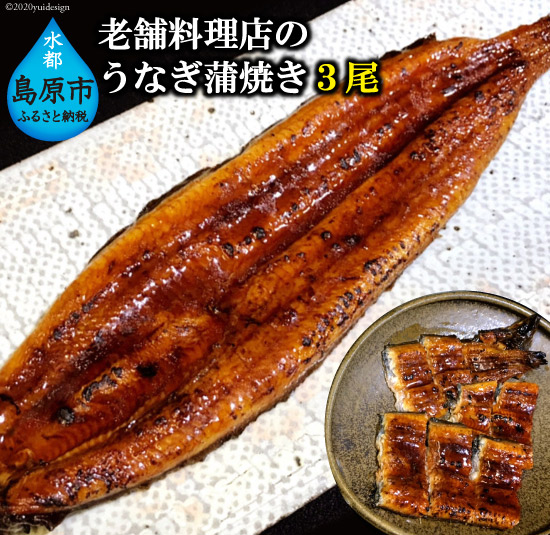 最安 老舗料理店のうなぎ蒲焼き 170g 3尾 国内最安値 Vancouverfamilymagazine Com 最安 老舗料理店のうなぎ蒲焼き 170g 3尾 国内最安値 Vancouverfamilymagazine Com