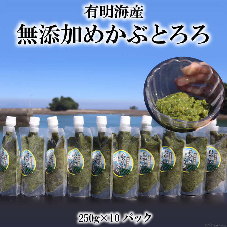 【ふるさと納税】AE298 有明海産 無添加めかぶとろろ（250g×10パック） レビューキャンペーン