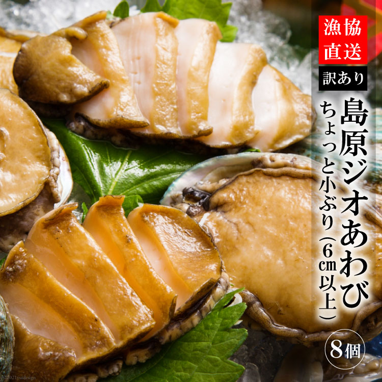 【ふるさと納税】 【訳あり】漁協直送!島原ジオあわび 8個(ちょっと小ぶり:6cm以上) 【漁協直送 あわび アワビ 訳あり 冷蔵 有明海 長崎県 島原市】