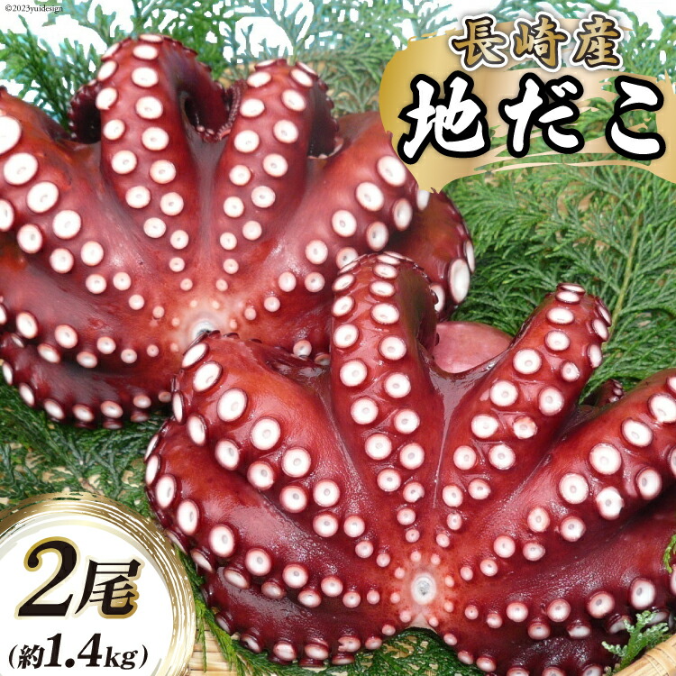 【ふるさと納税】BB044 長崎産 地だこ 2尾（約1.4ｋｇ）