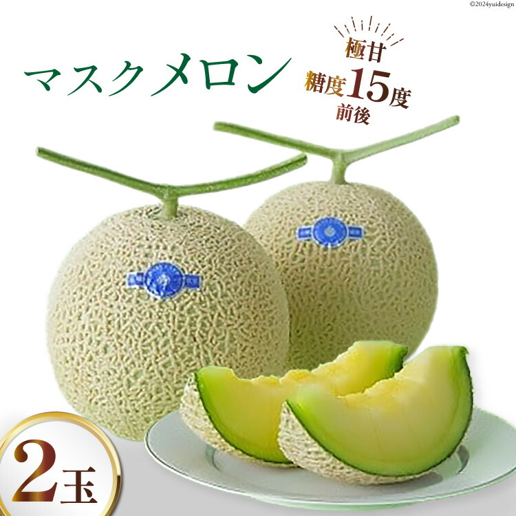 【ふるさと納税】【期間限定発送】AA048 その道一筋の生産者がじっくり丁寧に育てた マスクメロン 2玉入