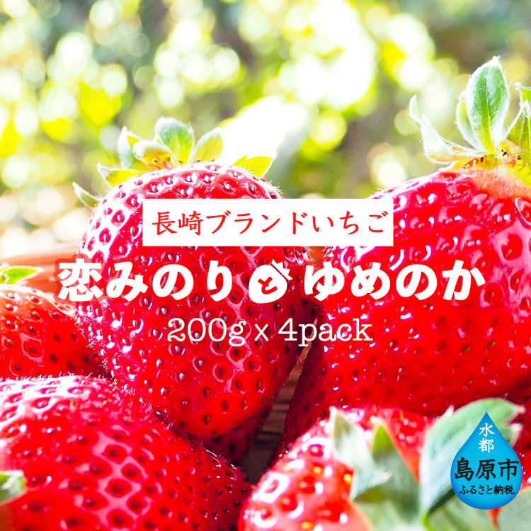 楽天市場 ふるさと納税 期間限定 野菜ソムリエselection 特選いちご 恋みのり ゆめのか 2lサイズ 各2パック フルーツ 果物 くだもの 苺 いちご ストロベリー 九州 長崎 島原 送料無料 北海道 沖縄配送可 長崎県島原市