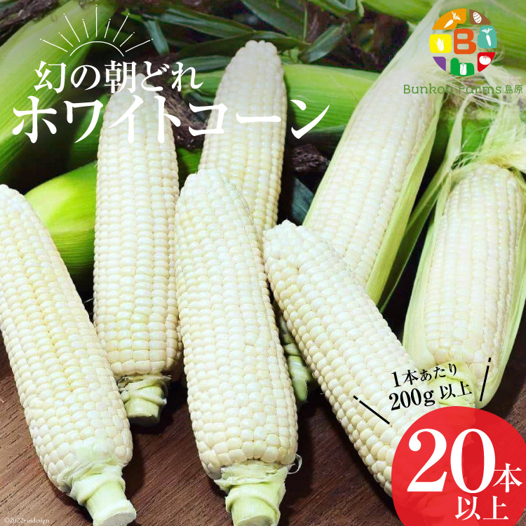 【ふるさと納税】AG036　6月中旬から出荷！「幻の朝どれホワイトコーン！」200g以上×20本以上