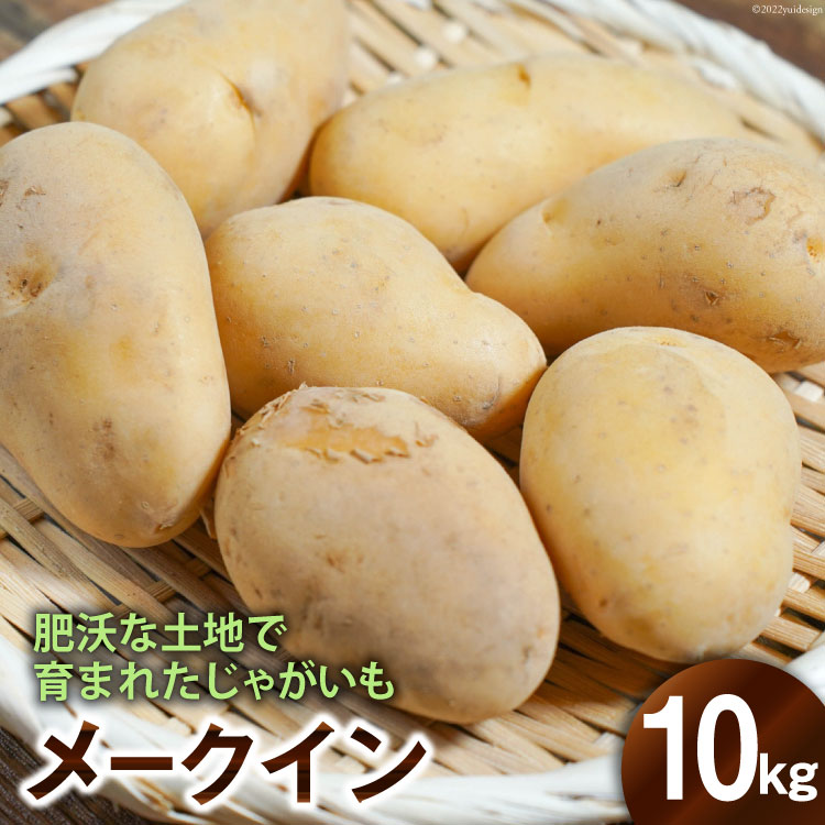 今年の新作から定番まで！ 商い 肥沃な土地で育まれた じゃがいも メークイン 数量限定 2600uk.com 2600uk.com