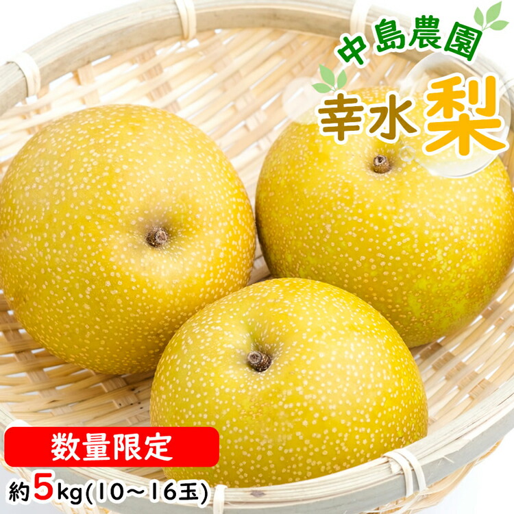 【ふるさと納税】BH005 【数量限定】 幸水梨 約5kg（10玉～16玉） 【新鮮 / 農家直送 / 夏の味覚 / 贅沢宝庫 / フルーツ】