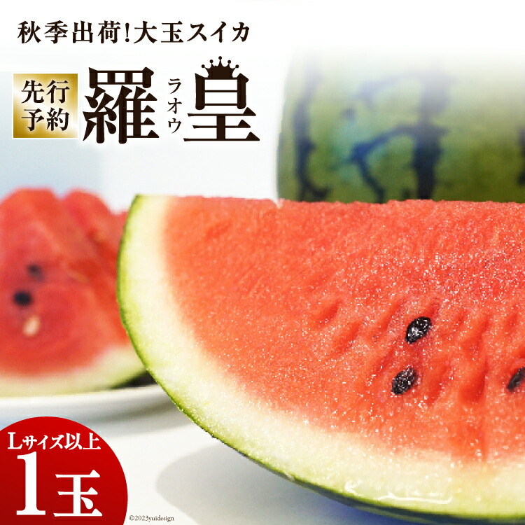 【ふるさと納税】BH053【令和7年度出荷分】秋季出荷！大玉スイカ～羅皇（ラオウ）～（Lサイズ6kg以上×1玉入）[先行予約 数量限定 すいか スイカ 西瓜 フルーツ 果物 長崎 長崎県 島原市]