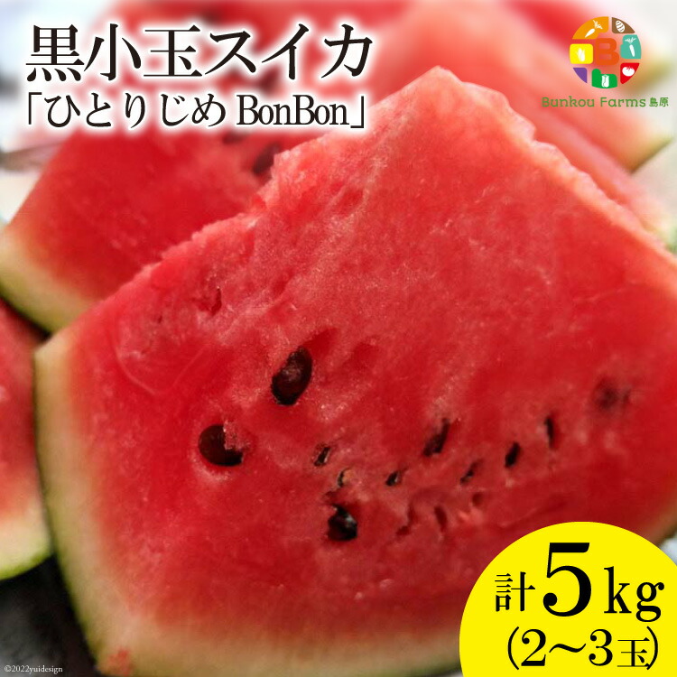 【ふるさと納税】黒小玉スイカ「ひとりじめBonBon」 5kg(1.7kg以上×2~3玉) ～名水百選の里 島原産～