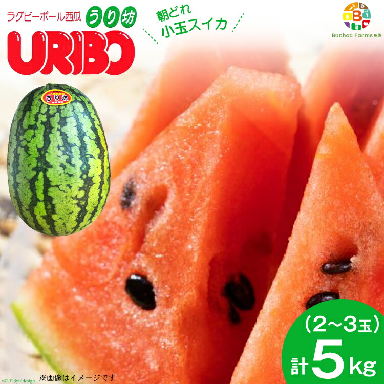 【ふるさと納税】BE276 小玉スイカ「うり坊」5kg（1.7kg以上×2～3玉） ～名水百選の里 島原産～