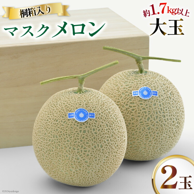 【ふるさと納税】【期間限定発送】AB053 その道一筋の生産者がじっくり丁寧に育てた マスクメロン 2玉 特選 大玉 桐箱