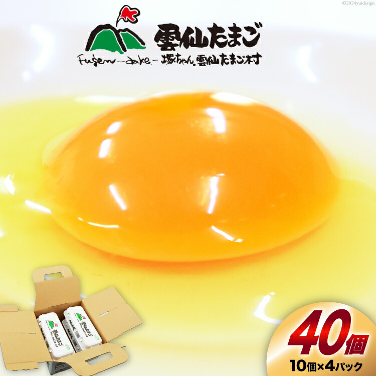 【ふるさと納税】 BI024 雲仙たまごLサイズ 40個 (10個入り×4パック) (37個＋割れ補償3個入り) [ 卵 たまご 生卵 鶏卵 赤卵 玉子 新鮮 塚ちゃん雲仙たまご村 長崎県 島原市 ]