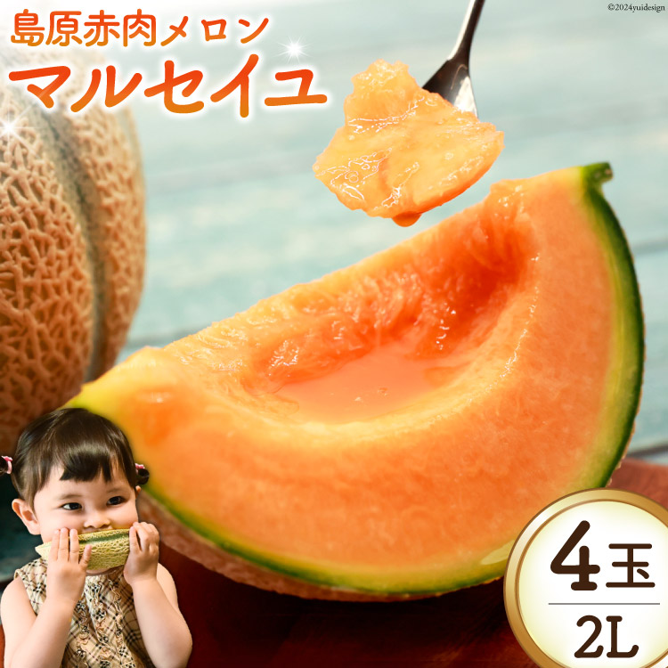 【ふるさと納税】AI114 【令和7年度出荷分】島原赤肉メロン「マルセイユ」 2L × 4玉 [ メロン めろん マルセイユ 赤肉 フルーツ 果物 小原商店 長崎県 島原市 ]