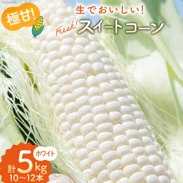 【ふるさと納税】AI206 とうもろこし スイートコーン ホワイト 5kg 10～12本 [ トウモロコシ コーン ホワイトコーン 野菜 5キロ さかいさんち SAKAI FARM 長崎県 島原市 ]