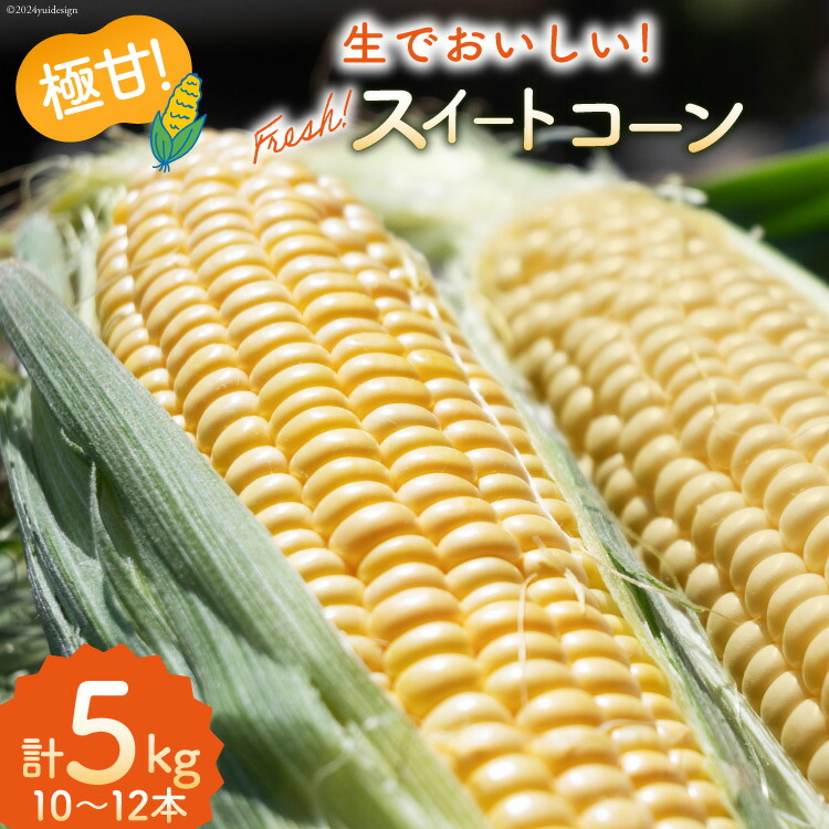 【ふるさと納税】AI207 とうもろこし スイートコーン イエロー 5kg 10～12本 [ トウモロコシ コーン ゴールドラッシュ 野菜 5キロ さかいさんち SAKAI FARM 長崎県 島原市 ]