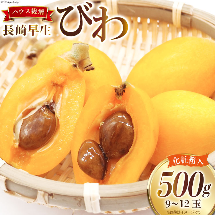 楽天市場】【ふるさと納税】【7営業日以内発送】枇杷ネクター180ml×5本