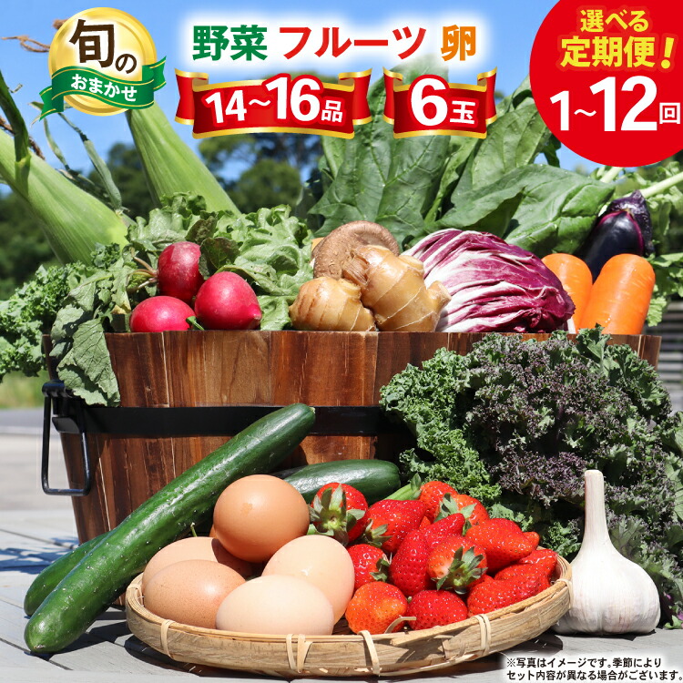 【ふるさと納税】 野菜 フルーツ 卵 旬のおまかせ セット (野菜･フルーツ14～16品目、卵6玉) [ 野菜セット 定期便 3回 6回 12回 果物 たまご 鶏卵 産地直送 厳選 野菜生活 長崎県 島原市 422037021] レビューキャンペーン