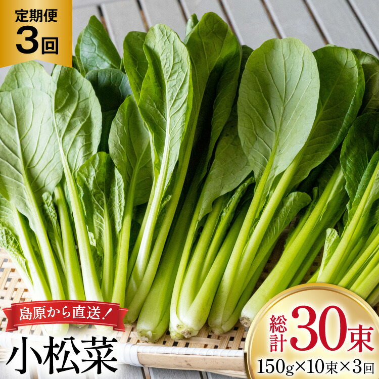【ふるさと納税】 AI329 定期便 3回 小松菜 10束 [ 野菜 こまつな やさい 冷蔵 葉物野菜 田中農園 長崎県 島原市 ] 20,250円