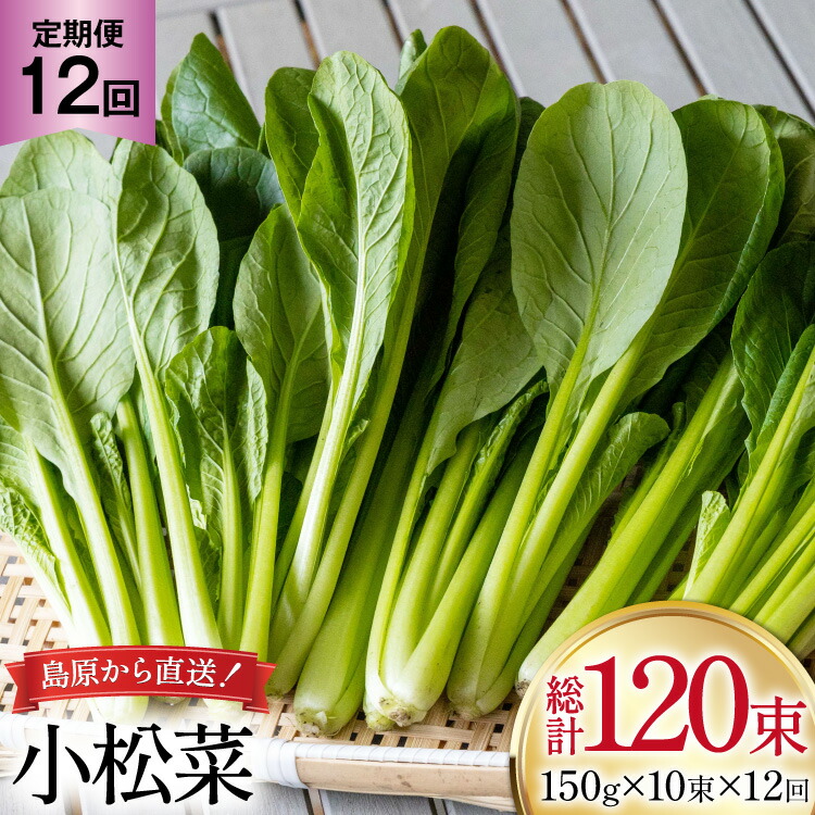 【ふるさと納税】 AI331 定期便 12回 小松菜 10束 [ 野菜 こまつな やさい 冷蔵 葉物野菜 田中農園 長崎県 島原市 ]