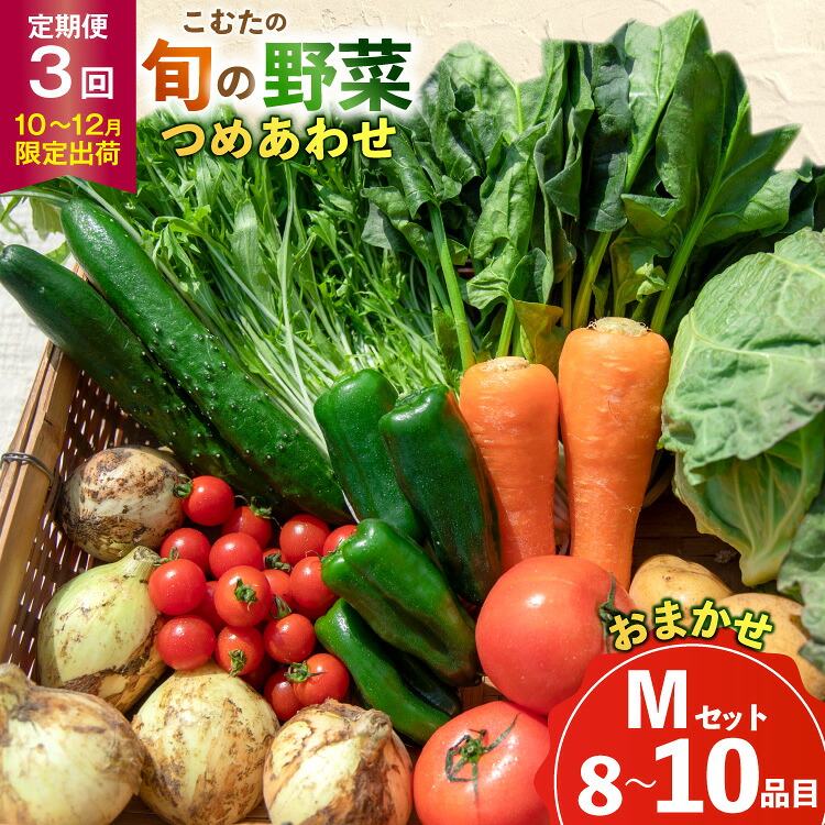 【ふるさと納税】 AJ433 【3回定期便】【10～12月限定出荷】こむたの旬の野菜 (8～10品目) おまかせMセット [ 野菜 やさい 旬 定期便 野菜セット 種類 人気 オススメ 新鮮 詰め合わせ 詰合せ こむた 小無田 青果 長崎県 島原市 ]