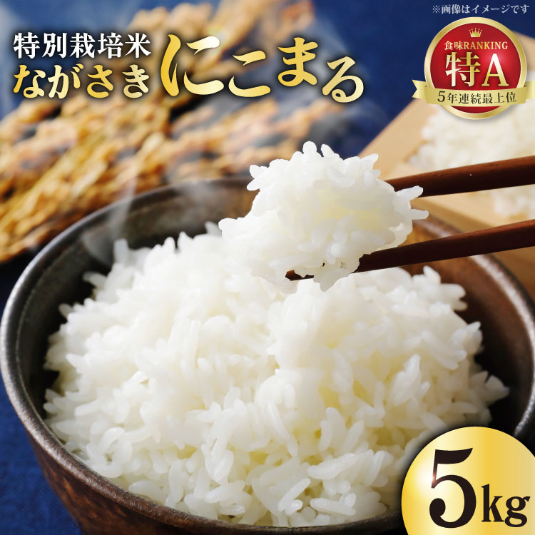 【配送先限定)】岐阜県産　白米　10キロ 岐阜県産 棚田米 1等米コシヒカリ はちたか米 精米5kg | 岐阜県