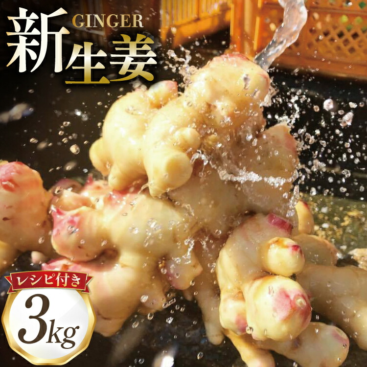 【ふるさと納税】AI381 島原百年生姜 新生姜 3kg [ 生姜 しょうが ショウガ 野菜 やさい ジンジャー 薬味 国産 人作 長崎県 島原市 ]