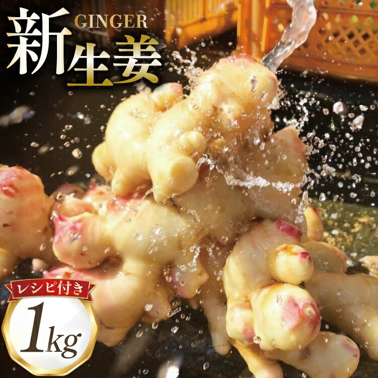 【ふるさと納税】AI379 島原百年生姜 新生姜 1kg [ 生姜 しょうが ショウガ 野菜 やさい ジンジャー 薬味 国産 人作 長崎県 島原市 ]