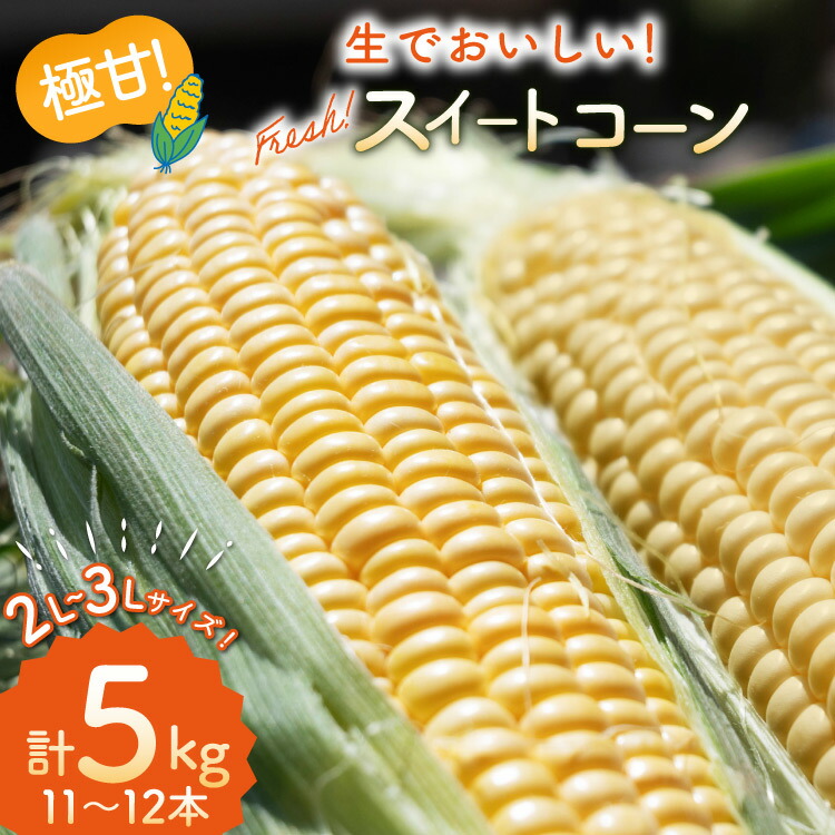 【ふるさと納税】AI207【令和8年度出荷分】とうもろこし スイートコーン イエロー 2L~3Lサイズ 11本~12本 計5kg [ トウモロコシ コーン ゴールドラッシュ 野菜 5キロ 春 さかいさんち SAKAI FARM 長崎県 島原市 ]
