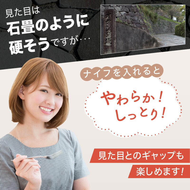 長崎石畳ショコラ ハーフサイズ1個（全9回）濃厚 チョコレートケーキ お取り寄せ 人気 スイーツ 冷凍 洋菓子 手土産 プレゼント バレンタイン諫早市  ネオクラシッククローバー 送料無料 ケーキ