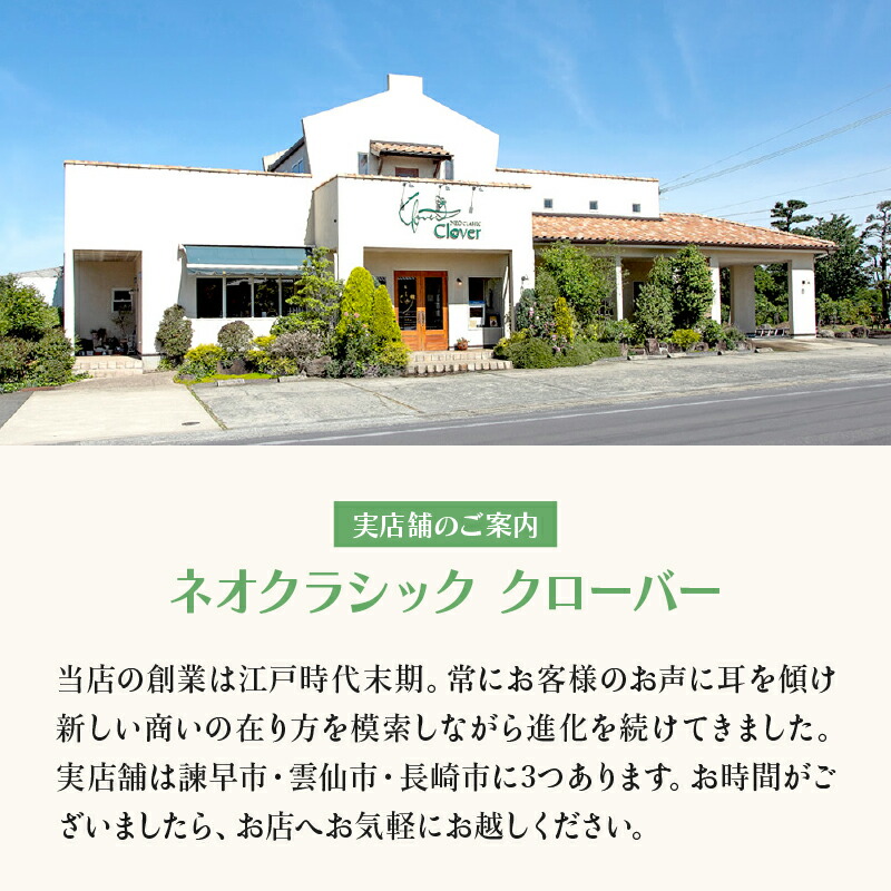 プレゼント ふるさと納税 諫早市 <ニッポン全国おやつランキング グランプリ受賞>長崎石畳ショコラ ハーフサイズ1個