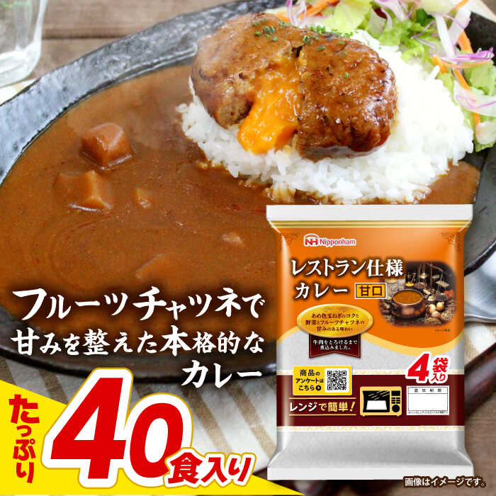 【ふるさと納税】【小分け】日本ハム レストラン仕様カレー甘口10パックセット(1パック4袋入り)計40食分 / カレー かれー レトルト 牛肉 小分け れとると　簡単調理　かんたん　カンタン 煮込み　にこみ　肉料理　本格　/ 諫早市 / 日本ハムマーケティング株式会社 [AHAL004]