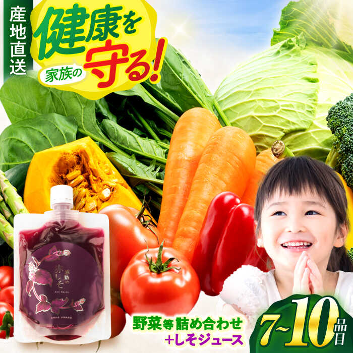 楽天市場】【ふるさと納税】【全3回定期便】諫早産野菜の 楽天市場】【ふるさと納税】【全3回定期便】諫早産野菜の
