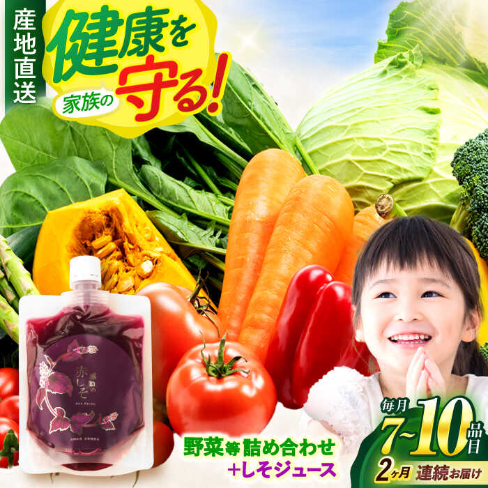 【ふるさと納税】【全2回定期便】野菜・果物・きのこ詰め合わせ 7～10品目 / 野菜 やさい 果物 くだもの フルーツ ふるーつ きのこ 旬 新鮮 セット / 諫早市 / 松尾農園 [AHAY006]
