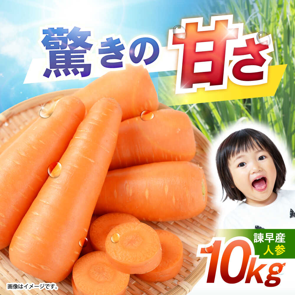【ふるさと納税】諫早産にんじん 10kg / にんじん ニンジン 人参 キャロット きゃろっと 野菜 やさい 10kg / 諫早市 / 松尾農園[AHAY030]