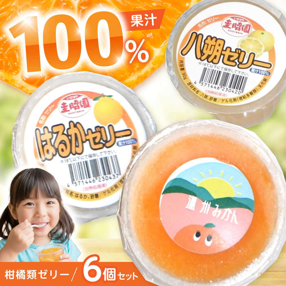 【ふるさと納税】柑橘類ゼリー (2個×3種) 6個セット / ゼリー ぜりー 果汁ゼリー 柑橘 八朔 温州みかん はるか / 諫早市 / 圭昭園　[AHAZ010]